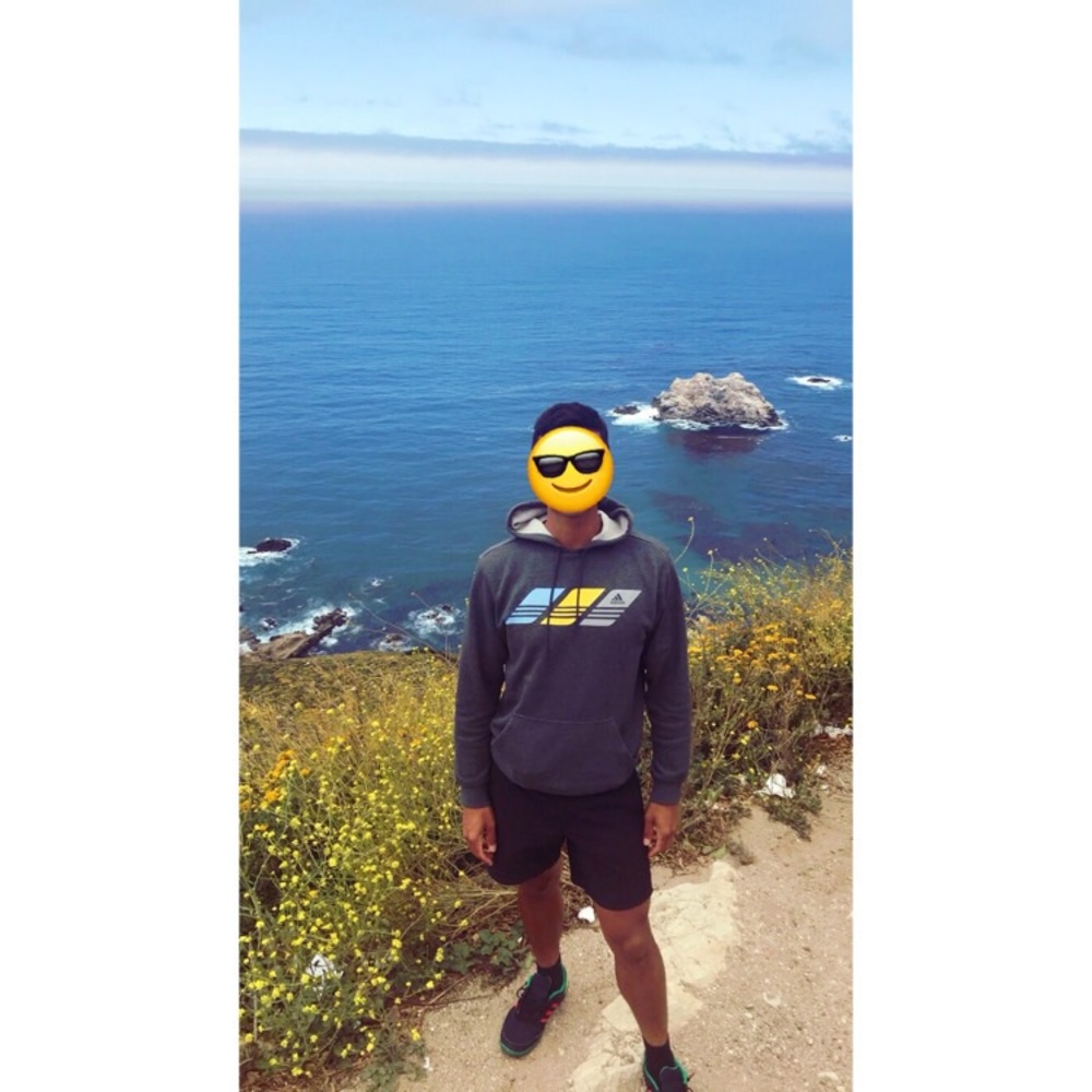 Adidas Hoodie Sweater